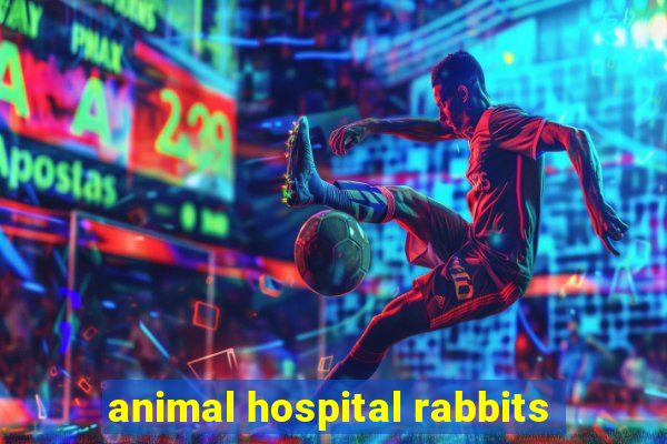 animal hospital rabbits